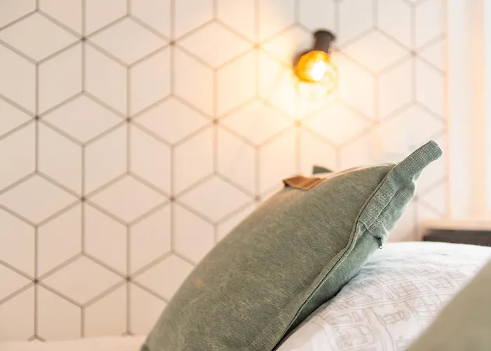 Zuyd 잔드보르트