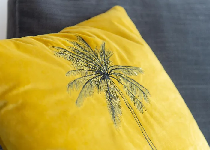 Zuyd 잔드보르트